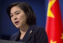 中国政府将派出包机接回滞留海外的武汉公民