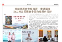 《中华时报》创刊十周年2019回顾(视频)