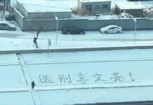 中国驻法使馆:用“吹哨者”形容李文亮目的是分裂中国民意