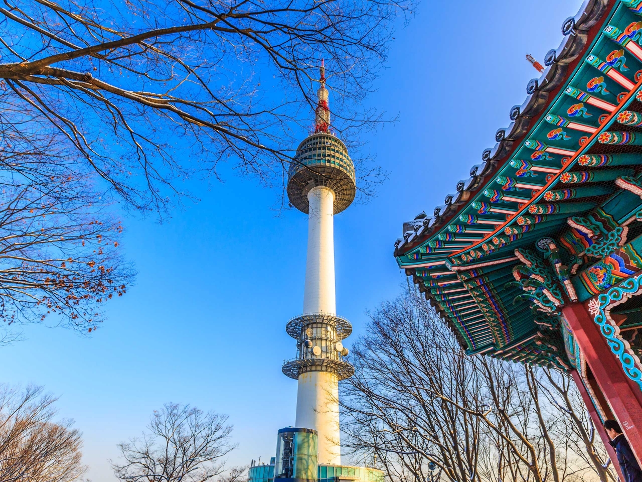 韩国新增60例新冠肺炎确诊病例 累计确诊893例