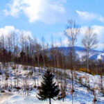 日本旅游：春来北海道之旅（图）