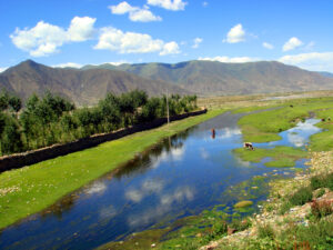 林芝风光（封面）