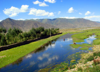 林芝风光（封面）