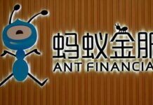 香港投资者成蚂蚁暂缓上市后的最大苦主