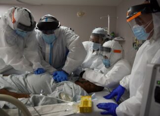 11/26新冠肺炎全球最新情報