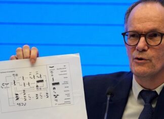 世卫组织新冠病毒起源报告内部草案提前曝光