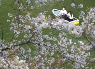 2021年3月30日新冠肺炎全球最新情報