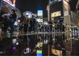 2021年11月8日新冠肺炎全球最新情報