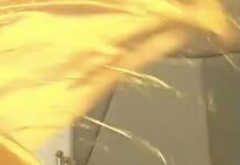 流動的事物是美麗的