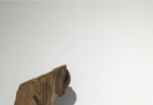 復活  綠色的語言