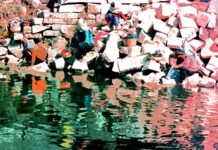 你的馬蹄急馳而過