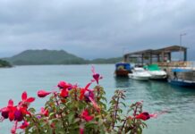 踏足客家小島秘境 ── 鹽田梓