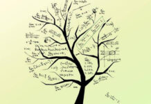 專家談|應用廣泛的數學模型