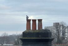 鳥兒在煙囪上