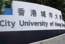 香港警方國安處拘捕了一男一女 涉就城大教授自殺發布虛假遺言等