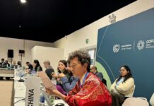 中國代表團成員揭秘聯合國氣候變化談判