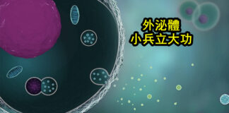 兩岸生技創新融合聚焦 推動醫藥大健康融合發展