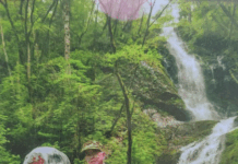 神農架腹地探索遊