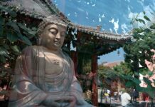 2025維多利亞國際攝影大賽入選作品:看見