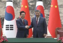 韓總統李在明訪華與習近平會面 商討兩國合作和朝鮮半島等議題