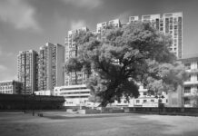 2025維多利亞國際攝影大賽入選作品:赤外書