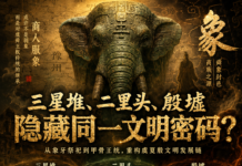 为什么殷商崇“象”?
