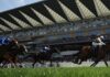 2026皇家阿斯科特首日震撼揭幕:国王御驾亲征 赛事冷门爆发 王者加冕